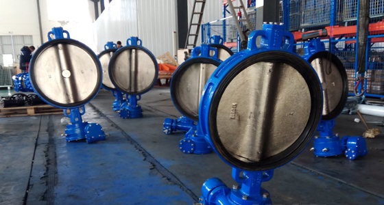 中線式蝶閥介質(zhì)為海水材質(zhì)選擇(圖1) 開維喜閥門