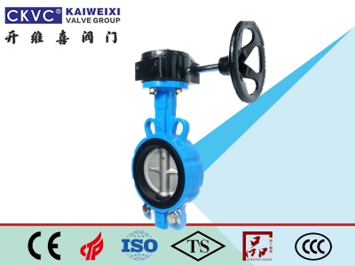 軟密封對(duì)夾蝶閥